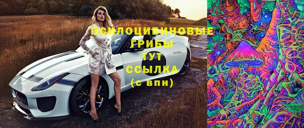 стафф Костерёво