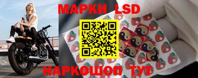 СК Заводоуковск