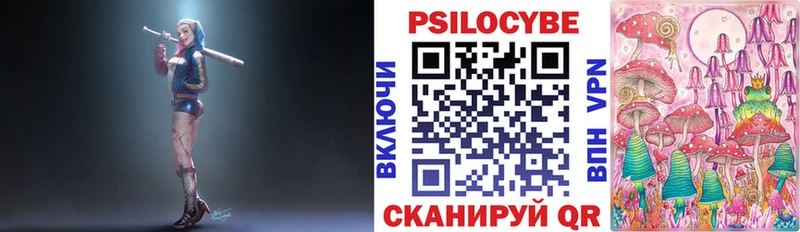 Псилоцибиновые грибы Psilocybine cubensis  Сызрань 