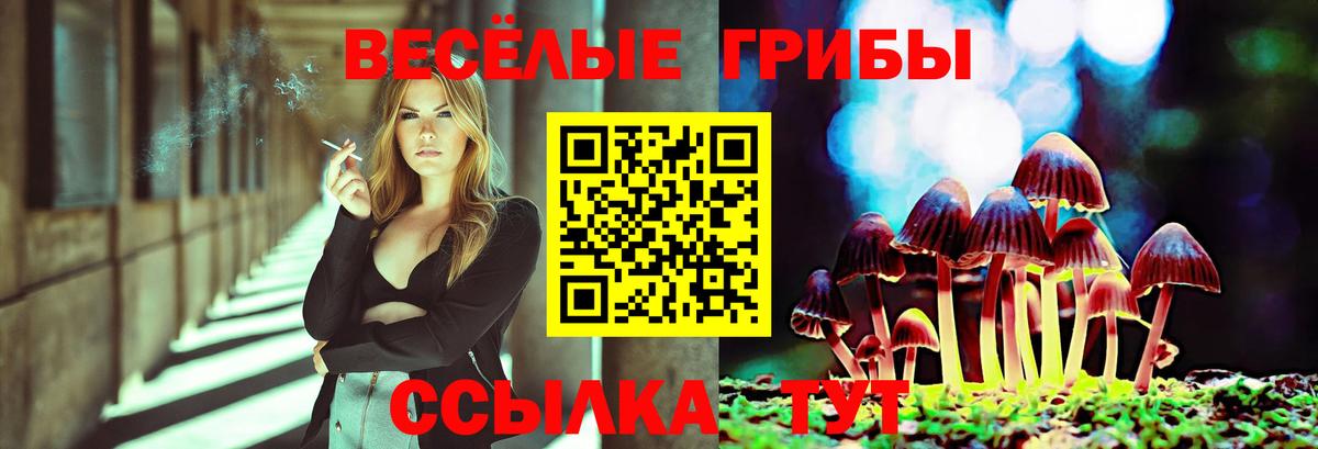 Сызрань  цены   Вход с VPN  Галлюциногенные грибы ЛСД  Псилоцибиновые грибы Psilocybe 